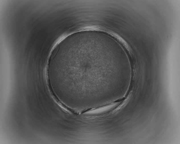 X0000116511373200912161330