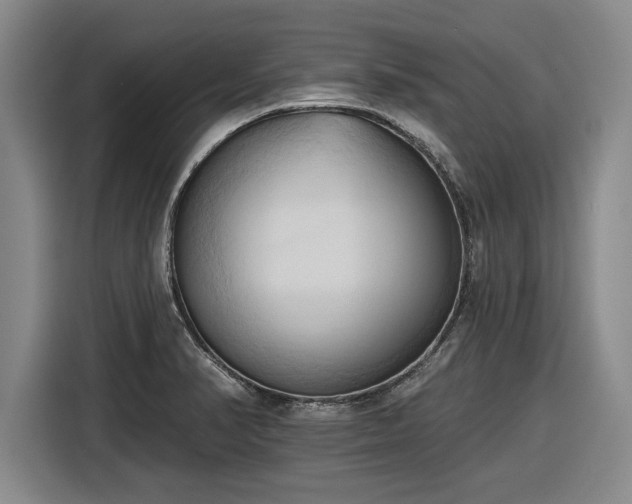 X0000116511374200912161330