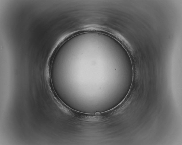 X0000116511376200912161330