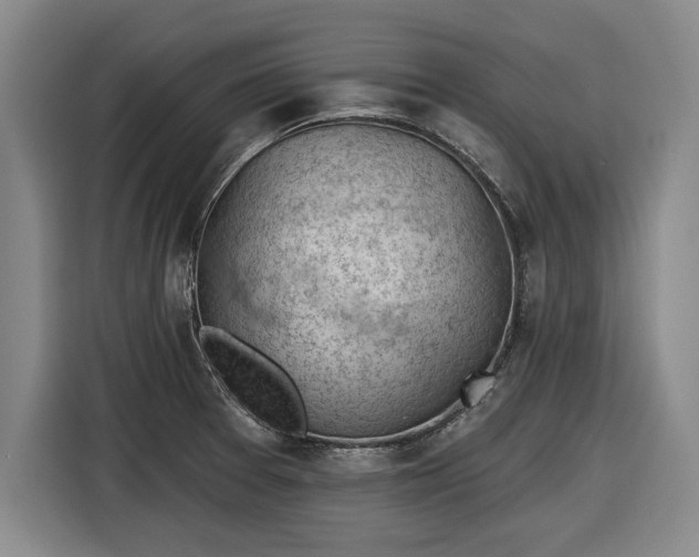 X0000116511377200912161330