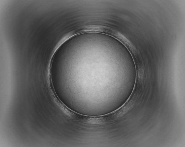 X0000116511378200912161330