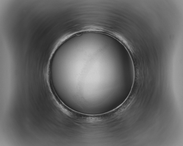 X0000116511379200912161330