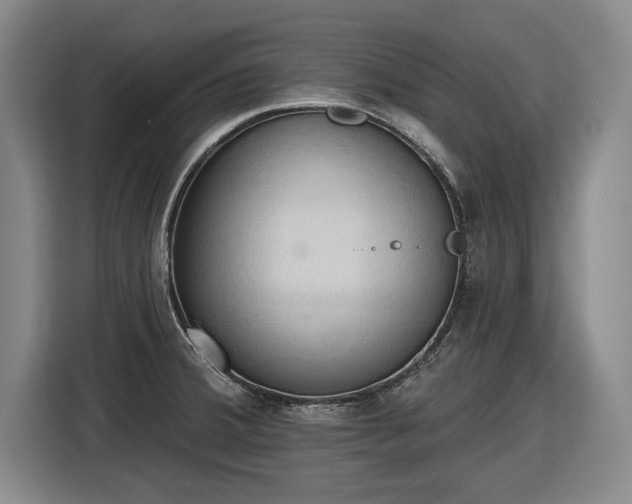 X0000116511380200912161330