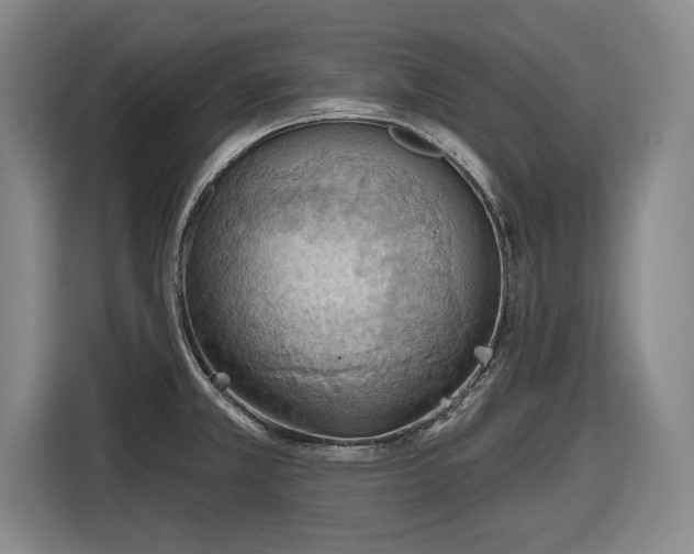 X0000116511381200912161330