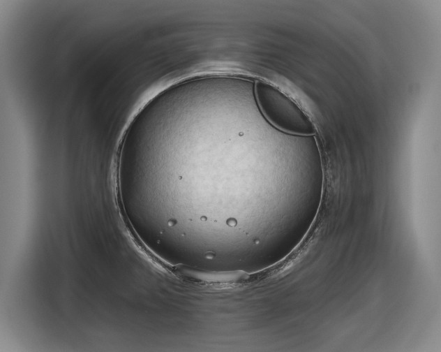 X0000116511382200912161330