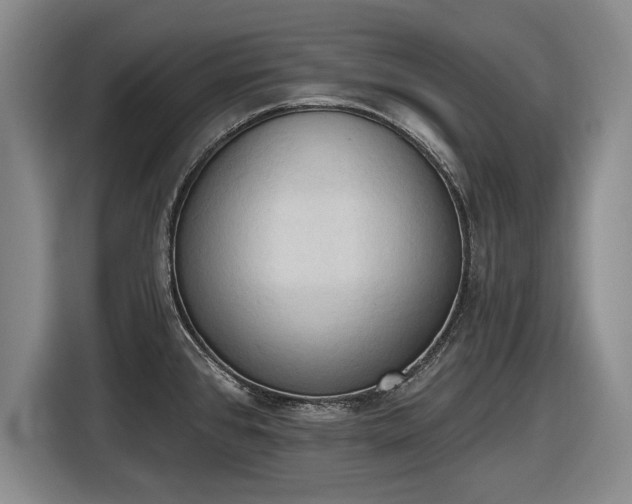X0000116511384200912161330