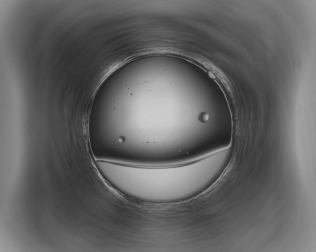 X0000116511385200912161330