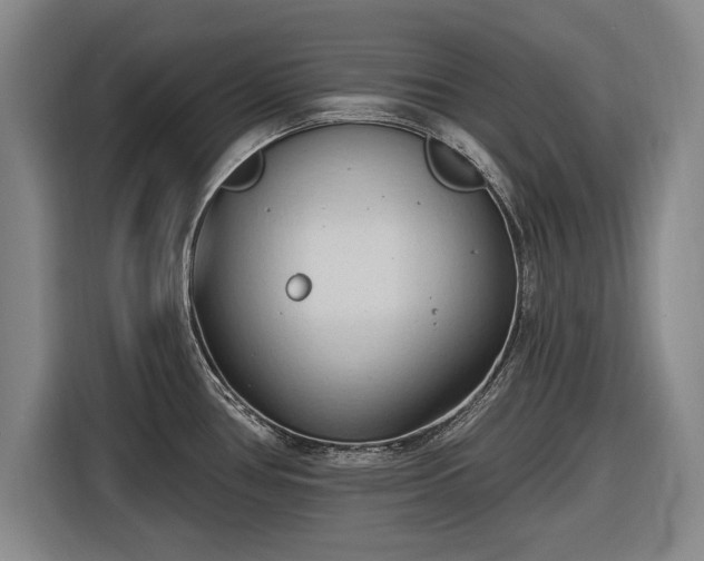 X0000116511386200912161330