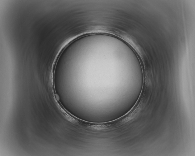 X0000116511388200912161330
