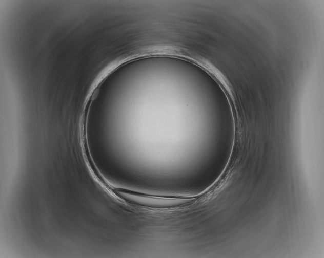 X0000116511389200912161330