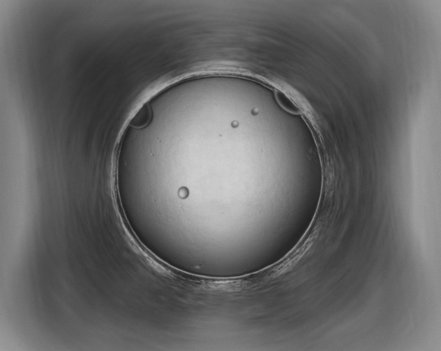 X0000116511390200912161330