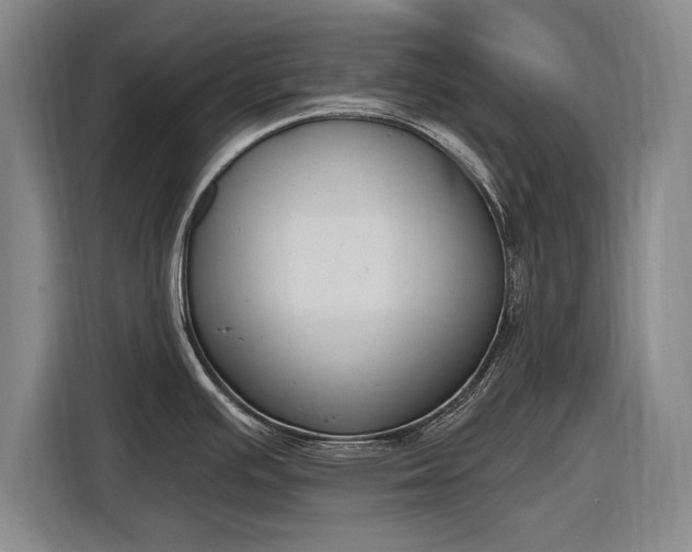 X0000116511391200912161330