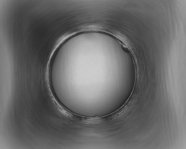 X0000116511392200912161330