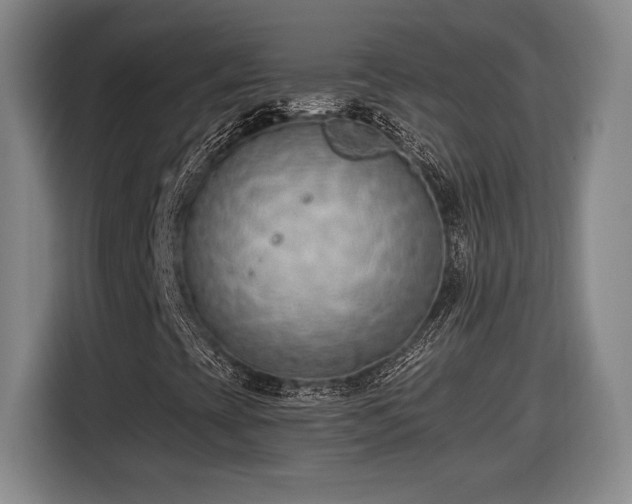 X0000116511393200912161329