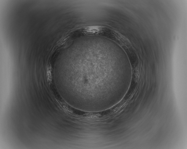 X0000116511394200912161329