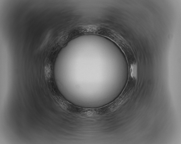 X0000116511395200912161329