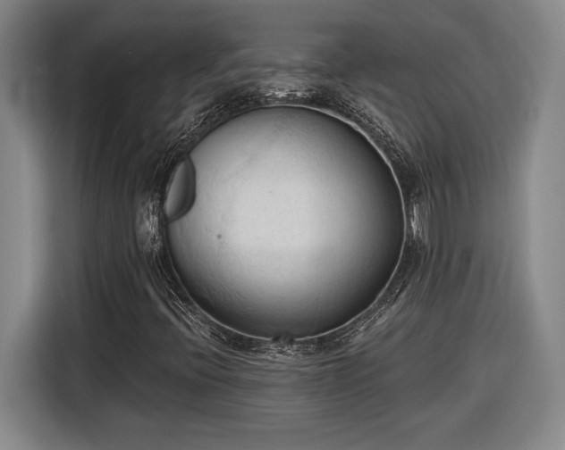 X0000116511396200912161329