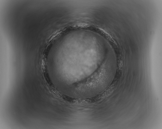 X0000116511397200912161329