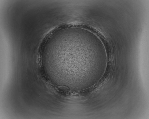 X0000116511398200912161329