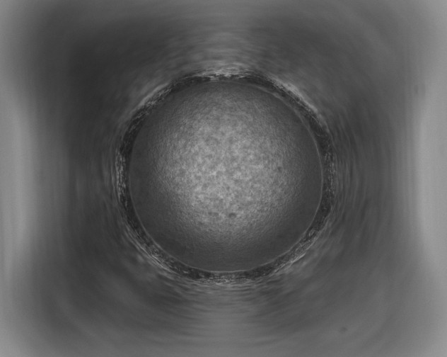 X0000116511399200912161329