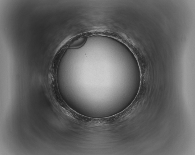 X0000116511400200912161329