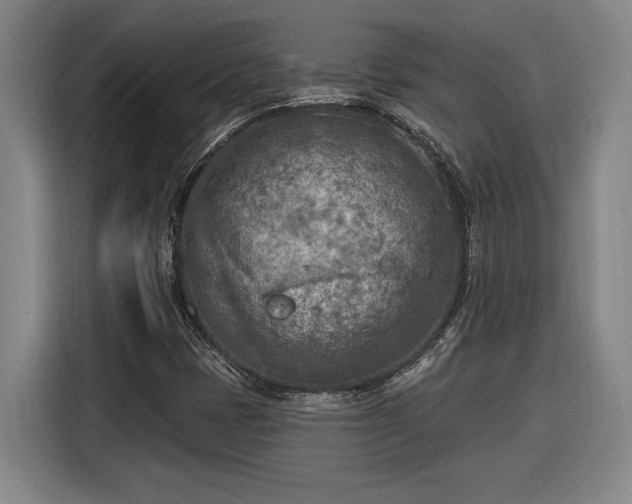 X0000116511401200912161329