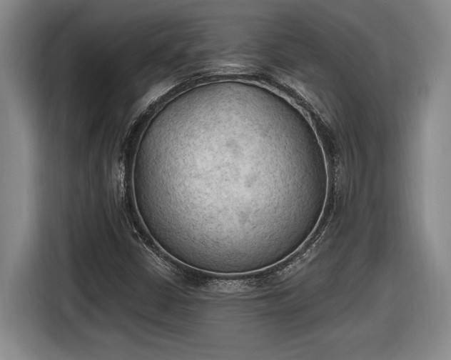 X0000116511402200912161329