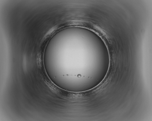 X0000116511403200912161329