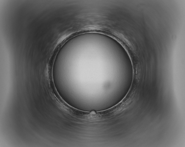 X0000116511404200912161329