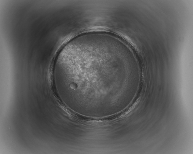 X0000116511405200912161329