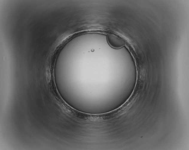 X0000116511407200912161329