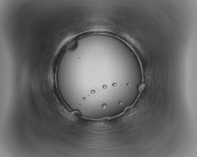 X0000116511408200912161329