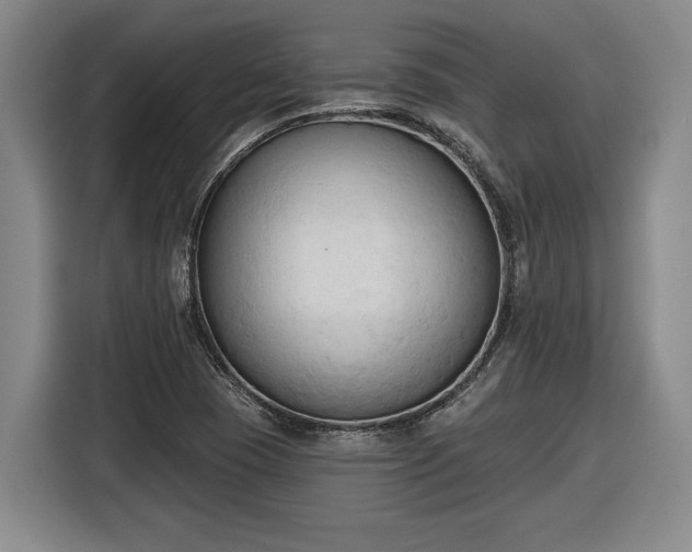 X0000116511409200912161329