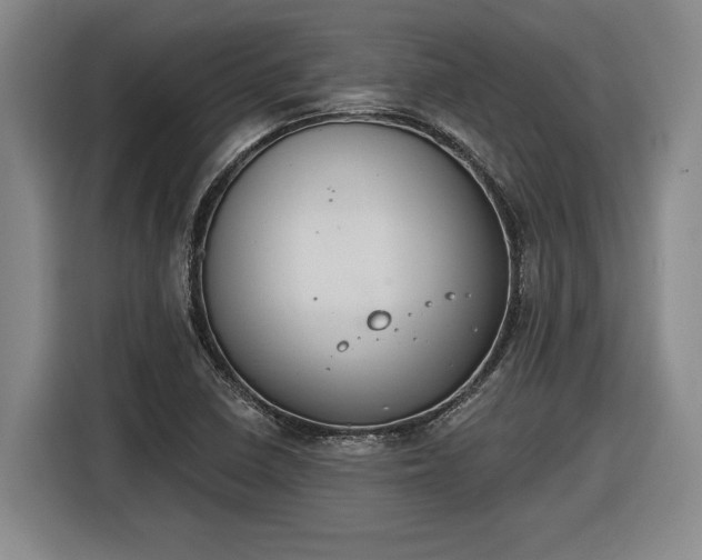 X0000116511410200912161329