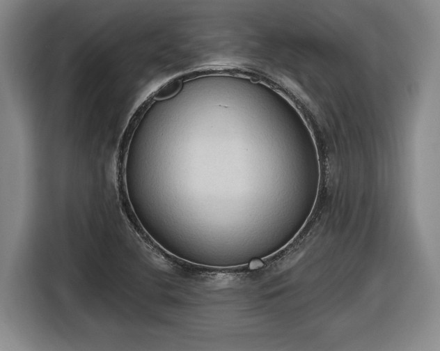 X0000116511412200912161329
