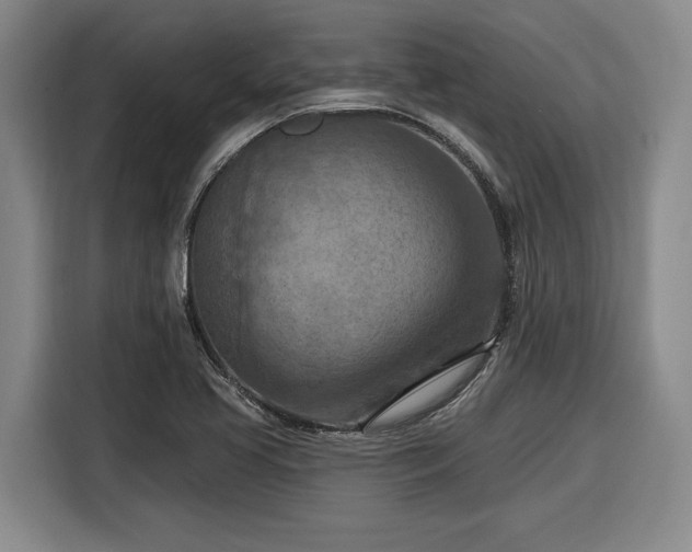 X0000116511413200912161329