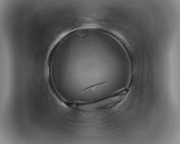 X0000116511414200912161329