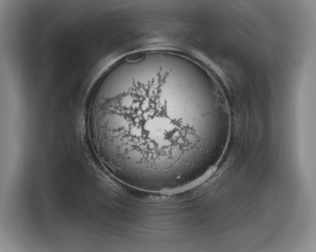 X0000116511415200912161329