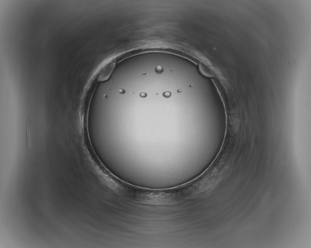 X0000116511416200912161329
