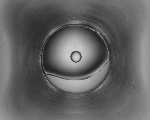 X0000116511417200912161329