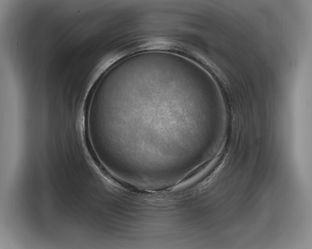 X0000116511418200912161329