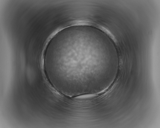 X0000116511419200912161329