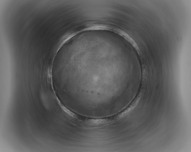 X0000116511425200912161330