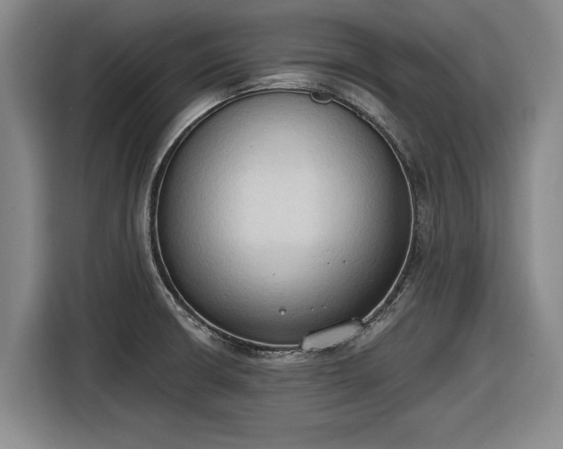 X0000116511426200912161330