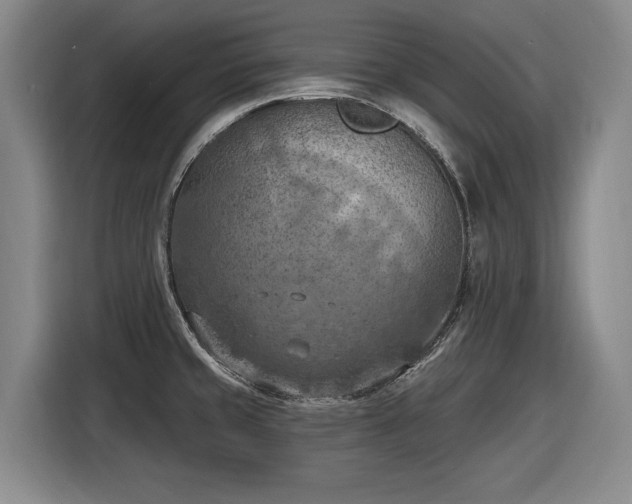 X0000116511429200912161330
