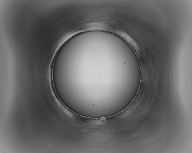 X0000116511431200912161330