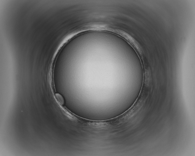 X0000116511432200912161330