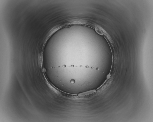 X0000116511433200912161330