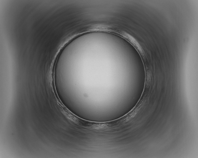 X0000116511435200912161330