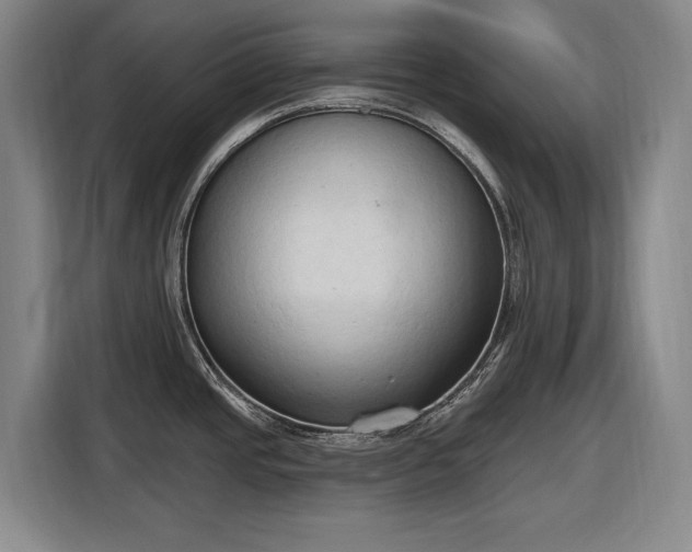 X0000116511437200912161330